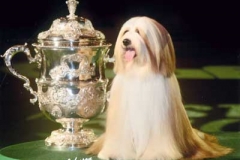 Araki Fabulous Willycrufts2007