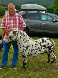 adrian-with-spotted-pony