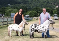araki-horse-with-ken-and-adrian